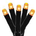 Indoor/Outdoor 100-Count Battery-Operated LED 8-Function Micro String Lights, Orange, 33', Halloween by Way To Celebrate