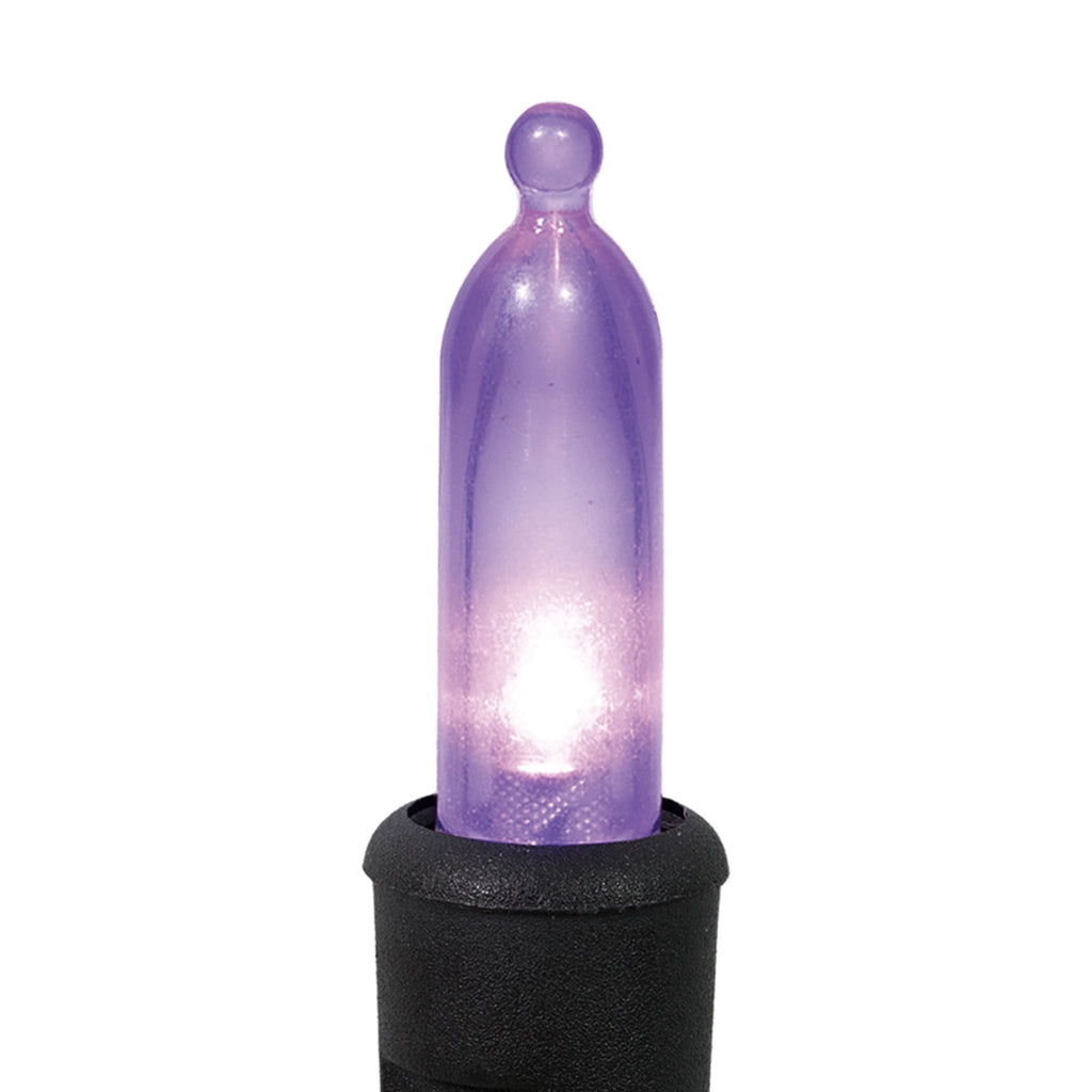 Indoor/Outdoor 50-Count LED Mini String Lights, Purple, 9.5', Halloween by Way To Celebrate