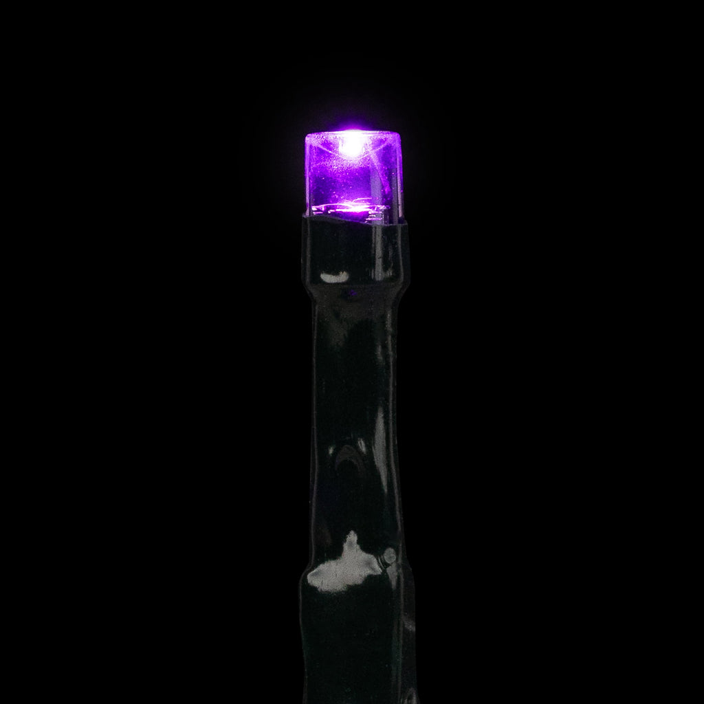 Northlight LED Wide Angle Halloween Lights - Purple - 10' Black Wire - 20ct