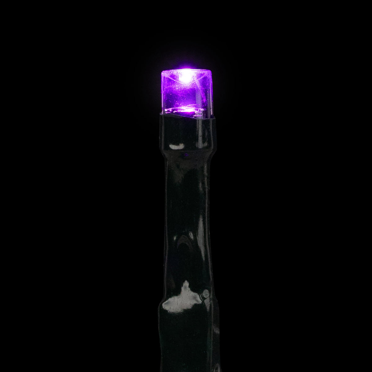 Northlight LED Wide Angle Halloween Lights - Purple - 10' Black Wire - 20ct