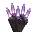 Indoor/Outdoor 50-Count LED Mini String Lights, Purple, 9.5', Halloween by Way To Celebrate