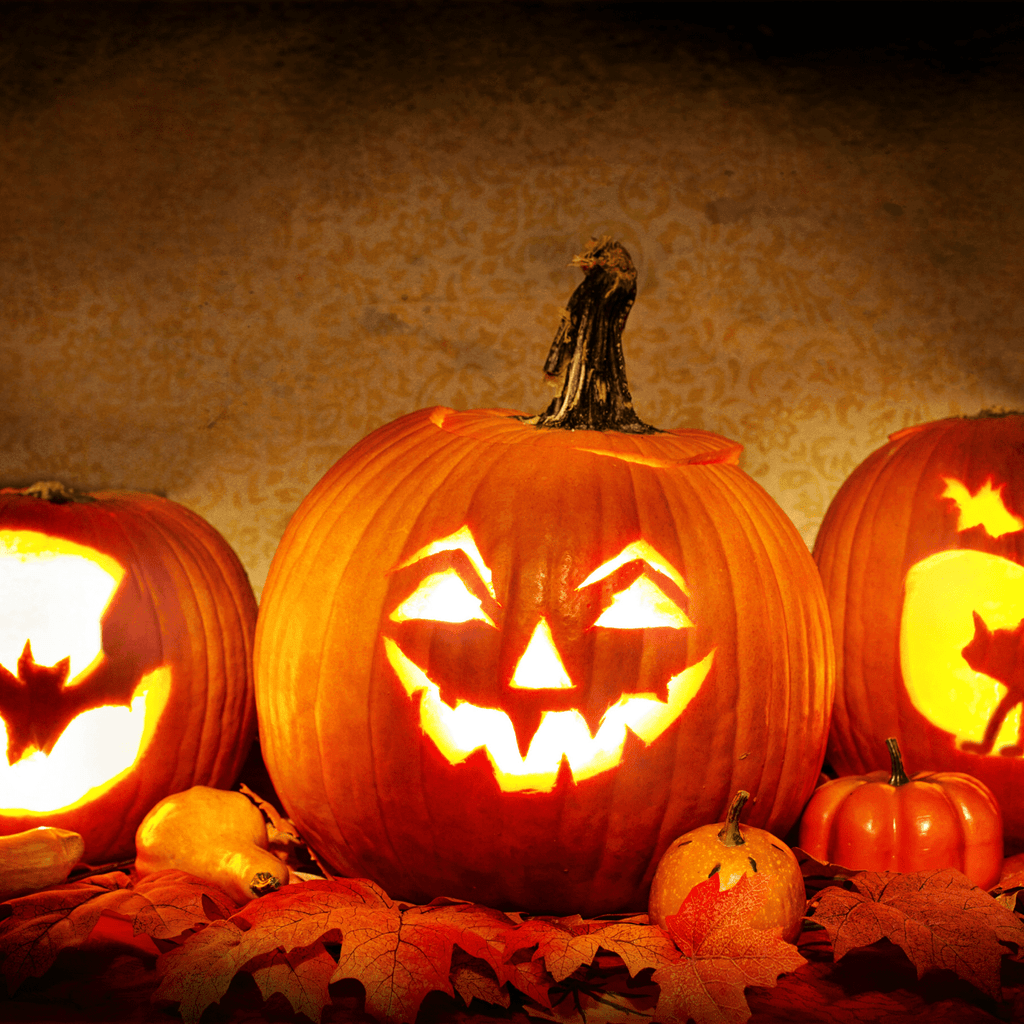 Four Orange Carvable Pumpkin Foam Decoration, 4.75 inches Pumpkin for Halloween Christmas Harvest Centerpiece DIY Decor