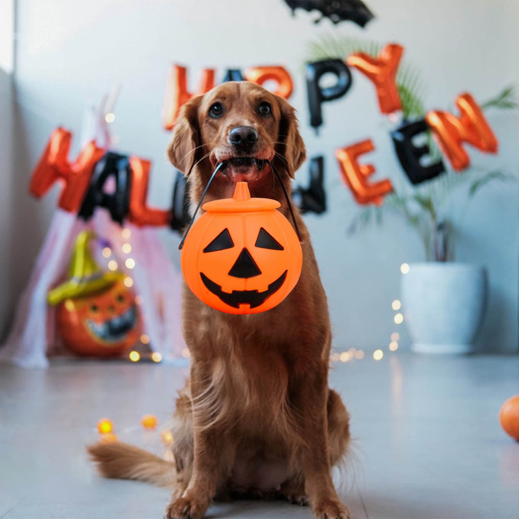 Kyusrd Trick or Treat Halloween Lantern Pumpkin Decoration Lighted Table Centerpieces Ornaments Spooky Pumpkin Prop Decor Decorative Wedding Candy Bowl Organizer Canisters