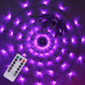 Ayieyill Halloween Spider String Lights,4FT 70 Purple LED with Realistic Spiders, 8 Lighting Modes , Halloween Decorations Indoor Outdoor