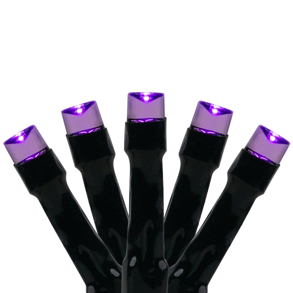 Northlight LED Wide Angle Halloween Lights - Purple - 10' Black Wire - 20ct