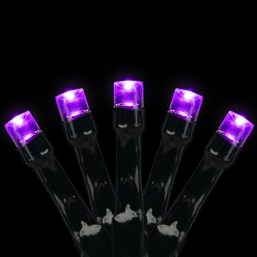 Northlight LED Wide Angle Halloween Lights - Purple - 10' Black Wire - 20ct