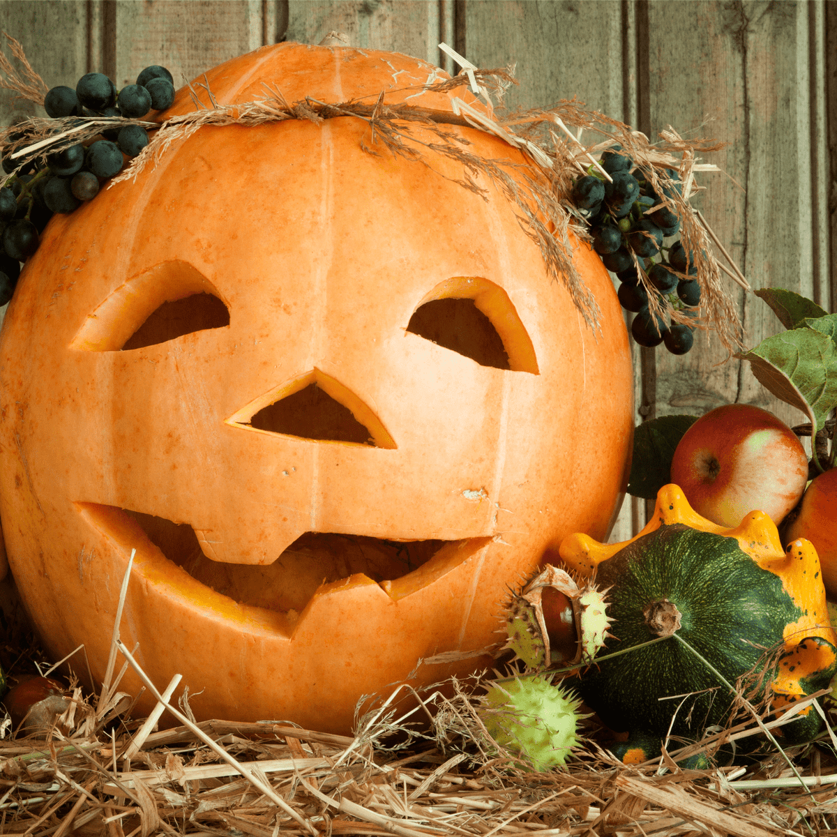 Four Orange Carvable Pumpkin Foam Decoration, 4.75 inches Pumpkin for Halloween Christmas Harvest Centerpiece DIY Decor