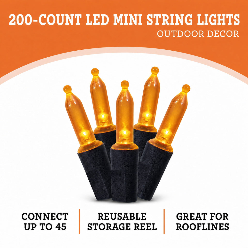Indoor/Outdoor 200-Count LED Mini String Lights, Multicolor, 39', Halloween by Way To Celebrate